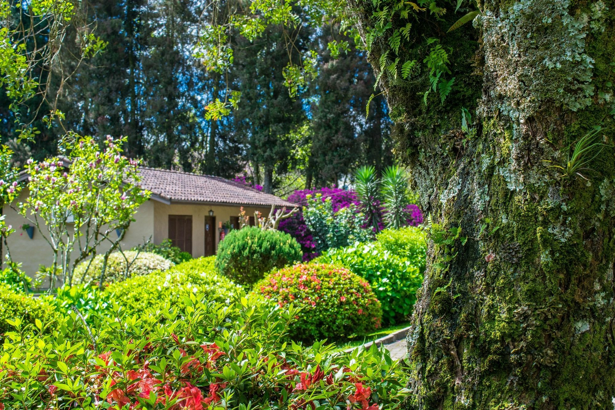 Hotel Fioreze Quero Quero Gramado Bagian luar foto